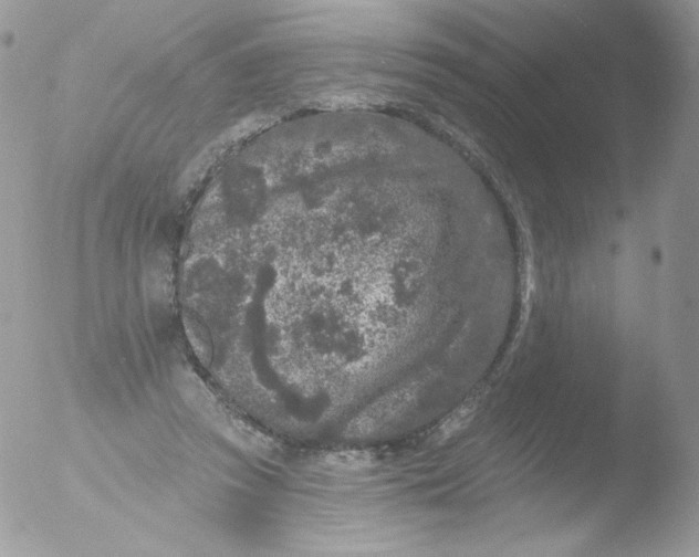 X0000051890353200507151944