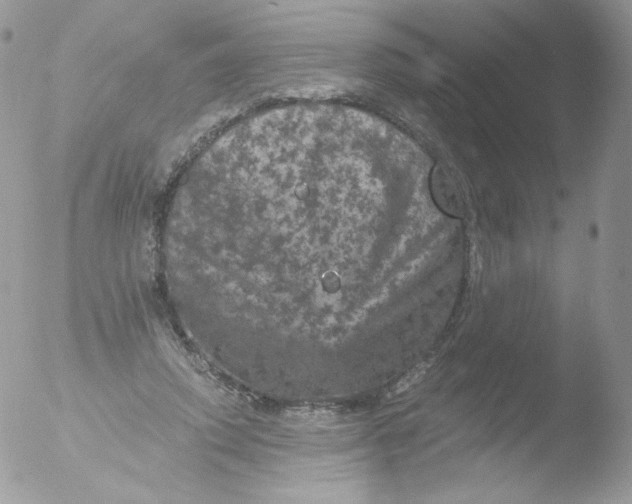 X0000051890354200507151944