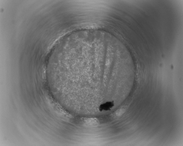 X0000051890355200507151944