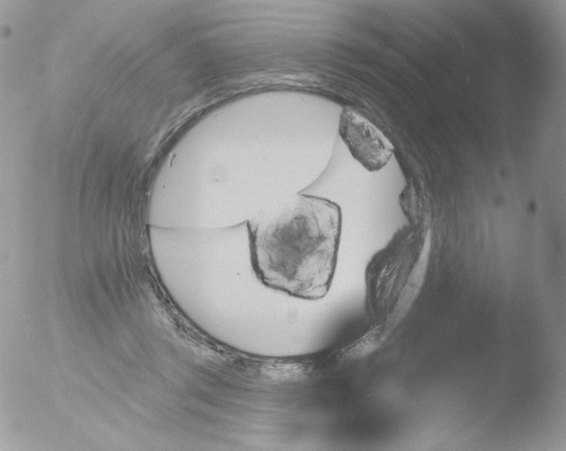 X0000051890357200507151945