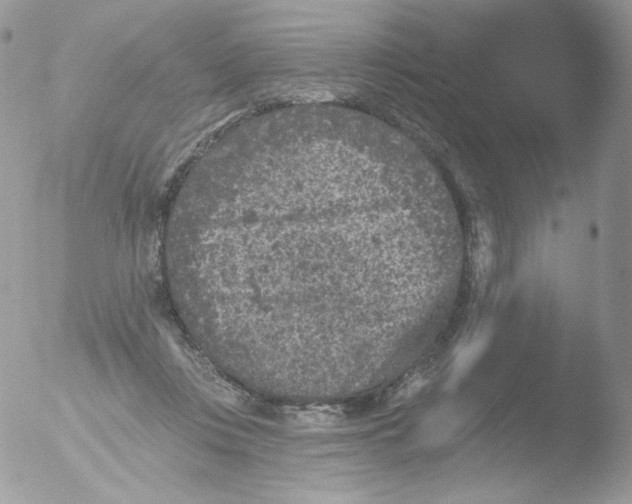 X0000051890359200507151945