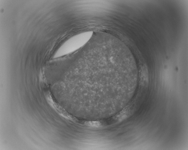 X0000051890361200507151945