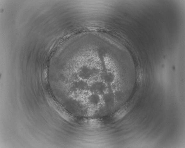 X0000051890365200507151945