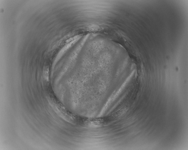 X0000051890368200507151945