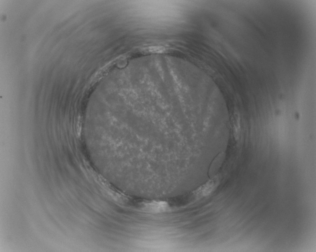 X0000051890374200507151945