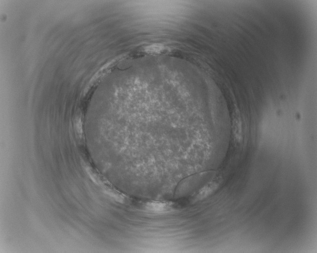 X0000051890375200507151945