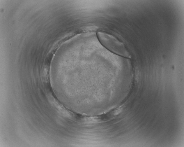 X0000051890378200507151945