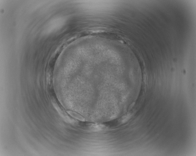 X0000051890379200507151945