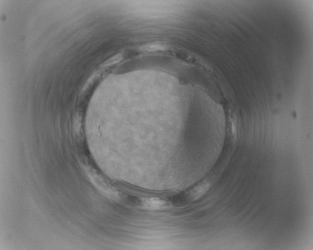 X0000051890380200507151945