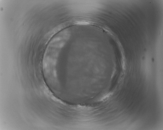 X0000051890385200507151944