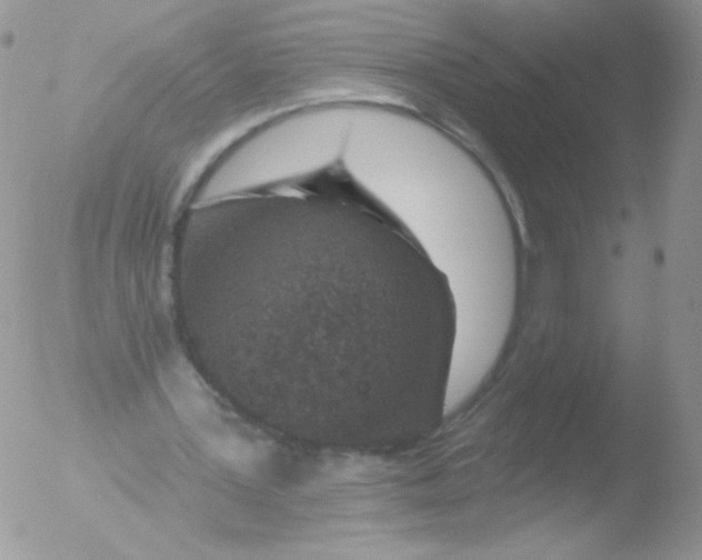 X0000051890387200507151944