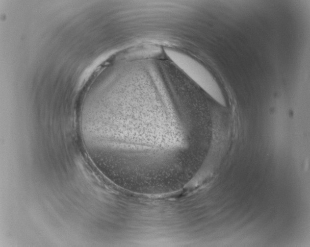 X0000051890388200507151944