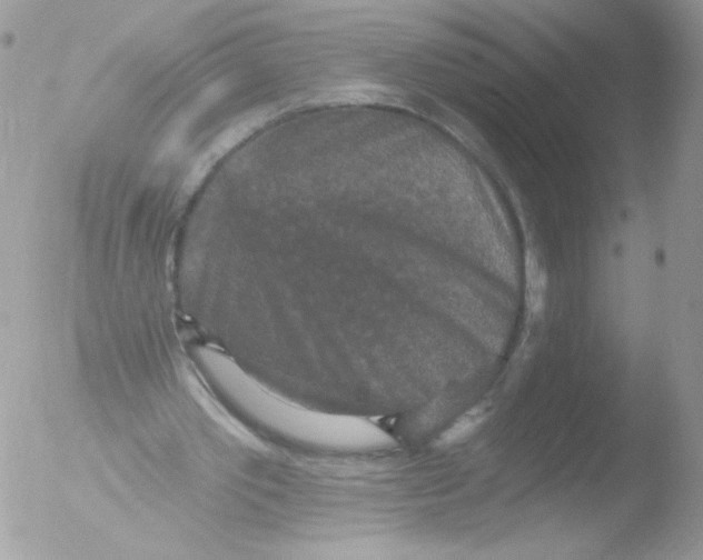 X0000051890389200507151944