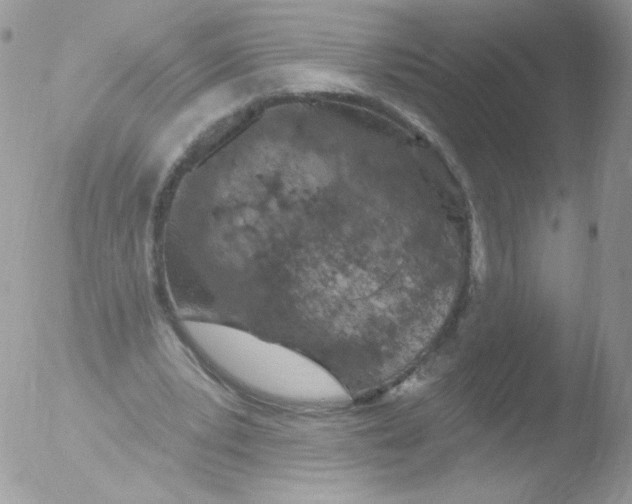 X0000051890391200507151944