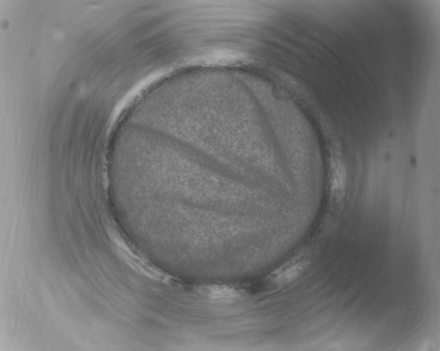 X0000051890392200507151944