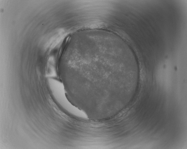 X0000051890393200507151944