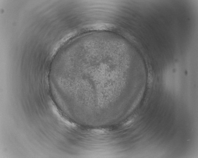 X0000051890394200507151944