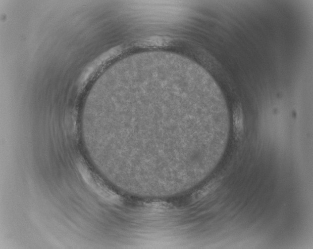 X0000051890396200507151944