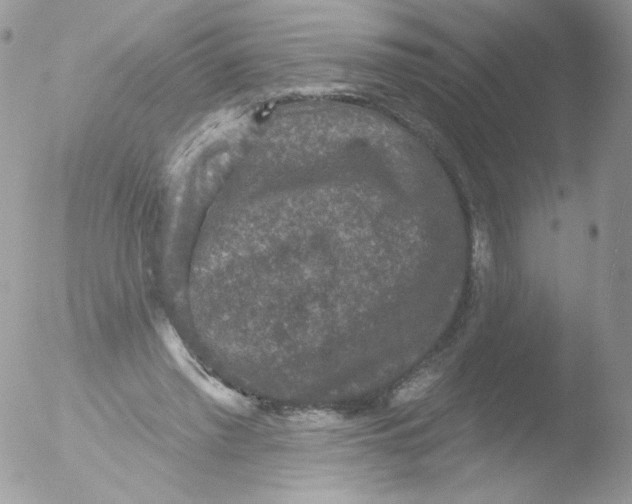 X0000051890397200507151944