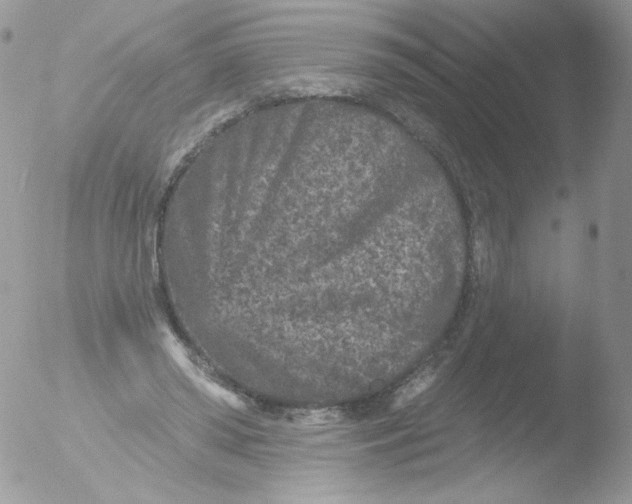 X0000051890398200507151944