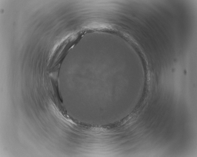 X0000051890399200507151944