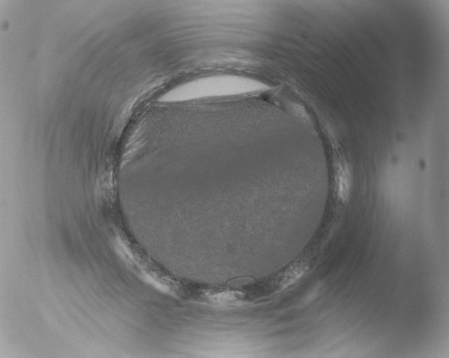 X0000051890407200507151944