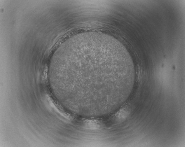 X0000051890408200507151944