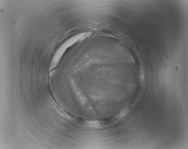 X0000051890409200507151944