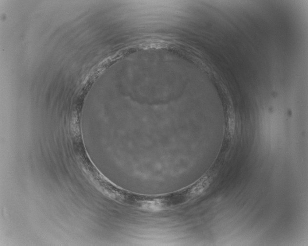 X0000051890411200507151944