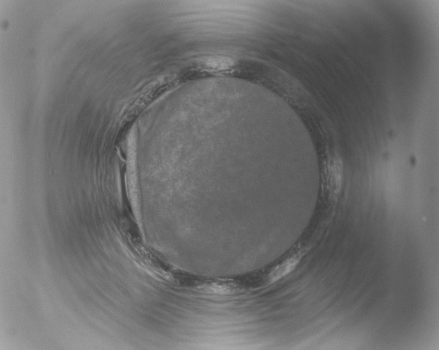 X0000051890412200507151944