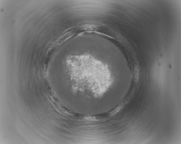 X0000051890413200507151944