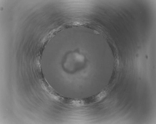 X0000051890415200507151944