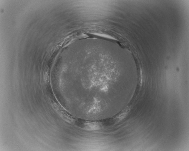 X0000051890417200507151944