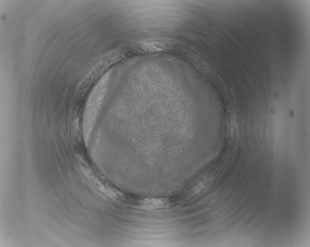 X0000051890418200507151944