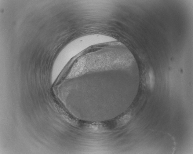 X0000051890420200507151944