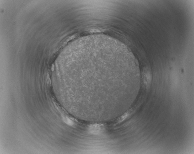 X0000051890422200507151944