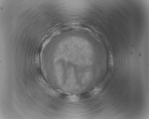 X0000051890425200507151944