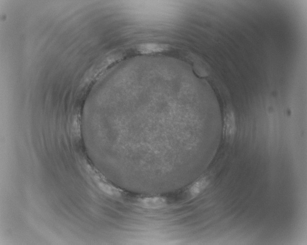 X0000051890426200507151943