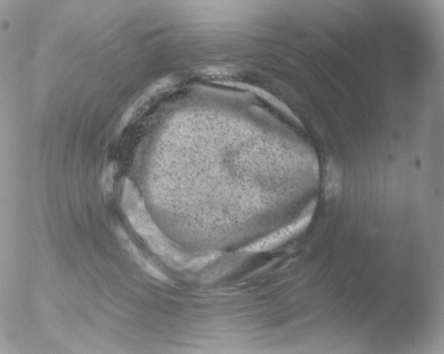 X0000051890428200507151943