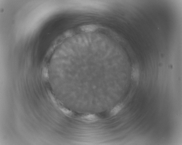 X0000051890431200507151943