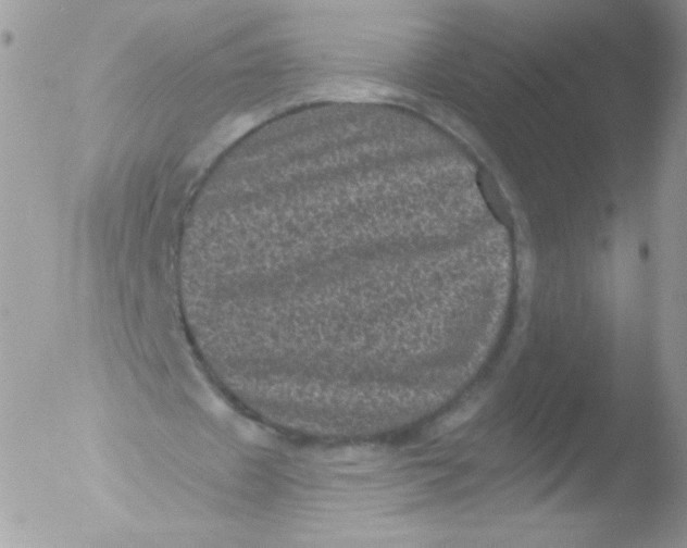 X0000051890433200507151943