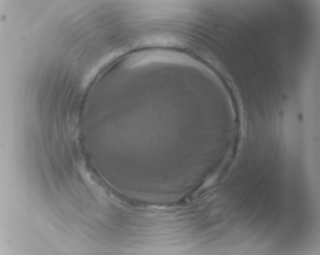 X0000051890434200507151943