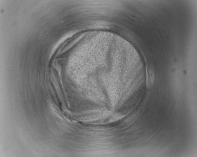 X0000051890435200507151943