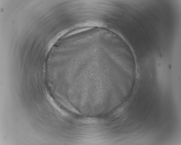 X0000051890437200507151943