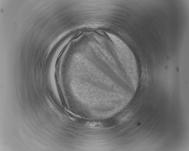 X0000051890440200507151943