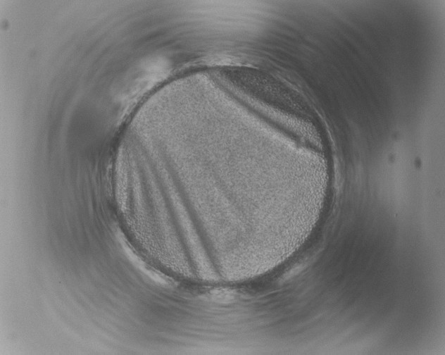 X0000051890441200507151943