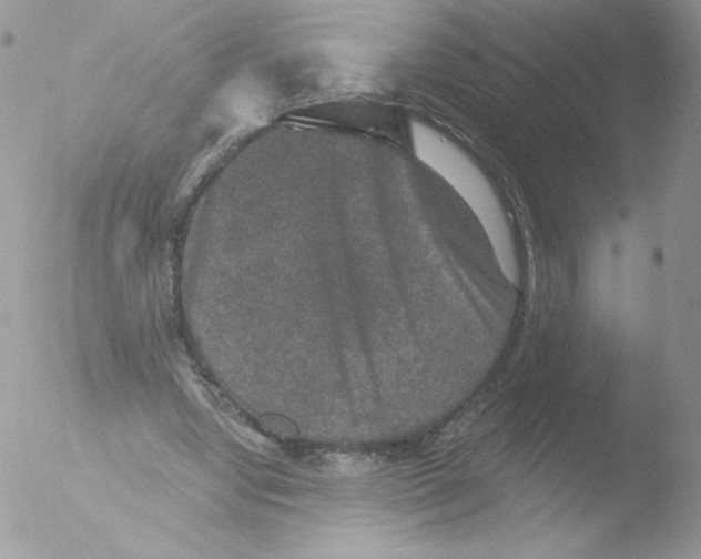 X0000051890442200507151943