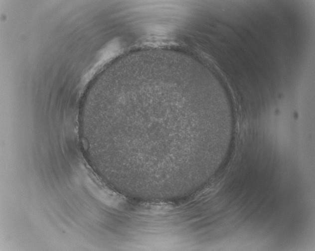 X0000051890443200507151943