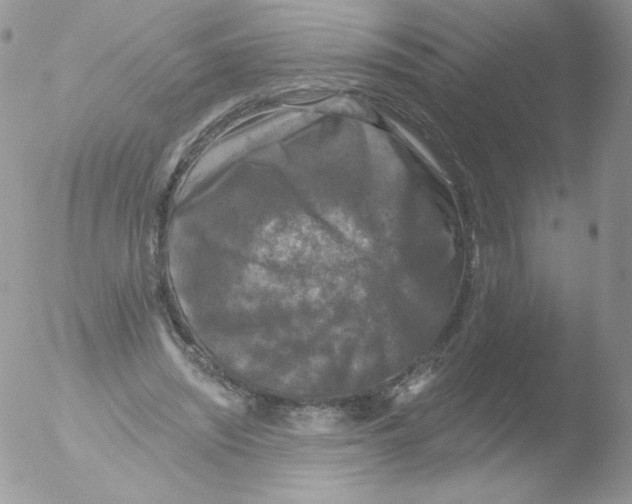 X0000051890444200507151943