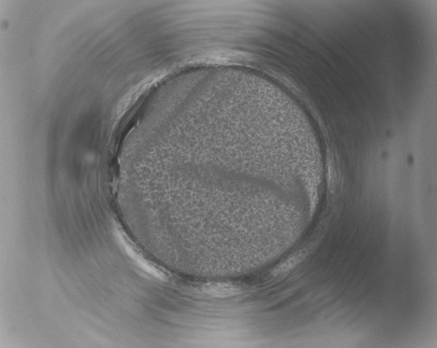 X0000051890445200507151943